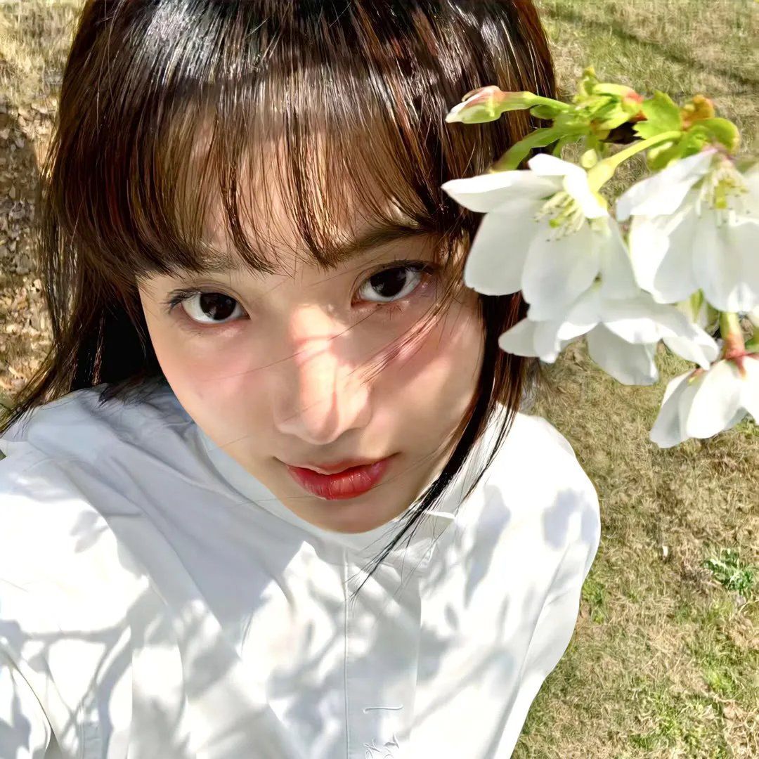 游园惊梦